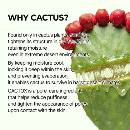 CACTOX PRIME™ Pore Relief Multi Balm